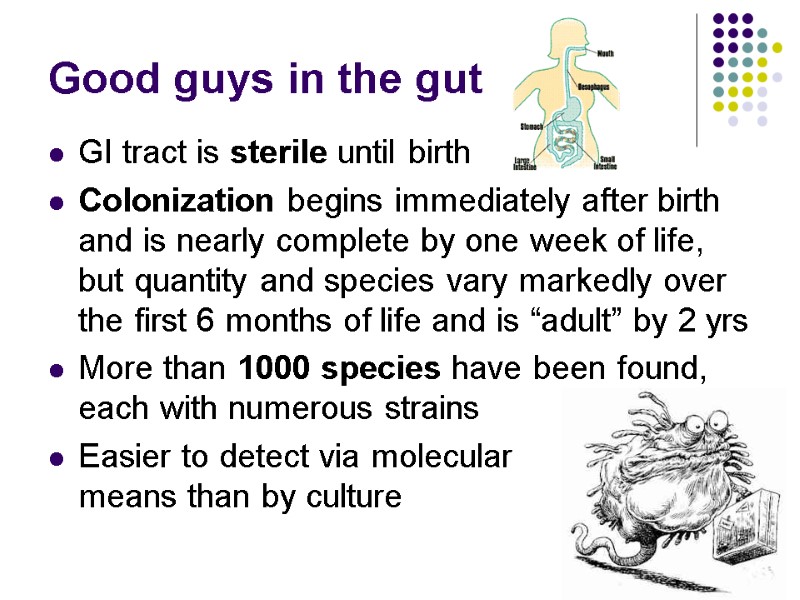 Good guys in the gut GI tract is sterile until birth Colonization begins immediately